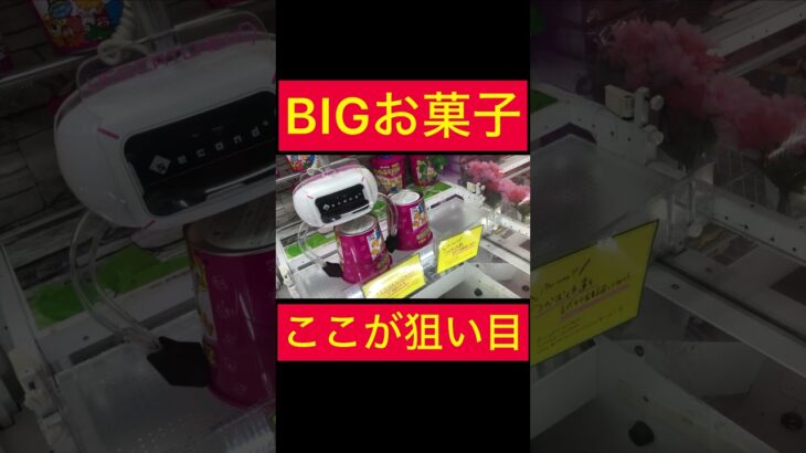 【UFOキャッチャー】買うよりお得!?なBIGお菓子狙い打ち