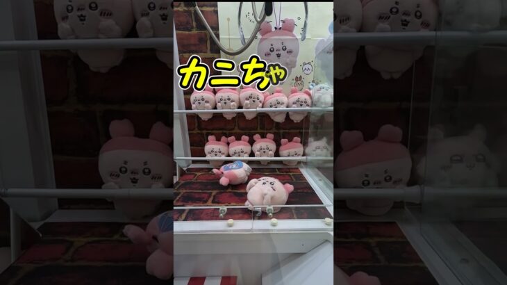 【クレーンゲーム】ちいかわ カニちゃんぬいぐるみ、確率無視してとれるのか？ #shorts #short #clawmachine #396 #ナムコ #攻略 #인형뽑기 #ラウンドワン #ちいかわ