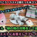 視聴者さんからのリクエスト！緑の箱の攻略をしてほしい！【結屋】【クレーンゲーム】【인형뽑기】【日本夾娃娃】【JapaneseClawMachine】