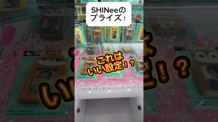 これはいい設定？鬼畜と評判の大手で砂利設定にチャレンジ！#shorts #shinee #クレーンゲーム