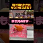 なかちんファミリーならコレは簡単だよね⁉️ #ufoキャッチャー #クレーンゲーム #cranegame #攻略 #clawmachine #ゲームセンター #確率機 #ぬいぐるみ #アンパンマン