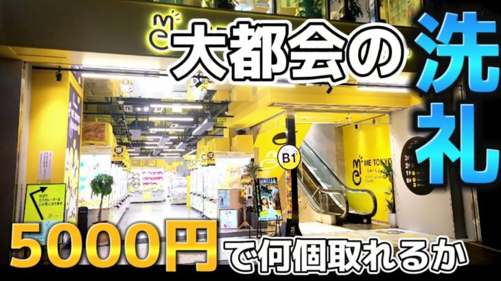 【クレーンゲーム店舗配信】5000円で何個取れる！？ 取り方 コツ 攻略 #クレーンゲーム #UFOキャッチャー