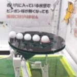 【トレバ】クレーンゲーム初心者さん、初めてのオンラインでビギナーズラックを起こしてしまう【生配信切り抜き】