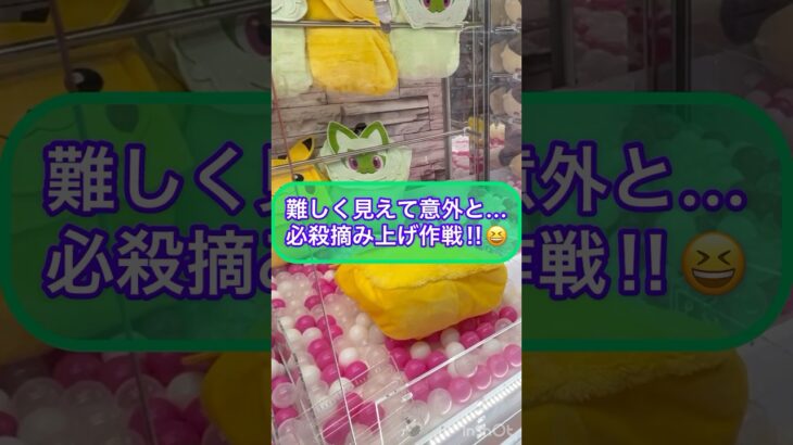 【クレーンゲーム】難しく見えて…必殺摘み上げ作戦‼︎ ポケモンのリュックに挑戦‼︎