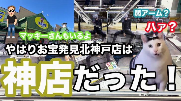 【クレーンゲーム】やはりお宝発見北神戸店は神店だった！ #クレーンゲーム #橋渡し #フィギュア #ufoキャッチャー #お宝発見北神戸店 #猫ミーム