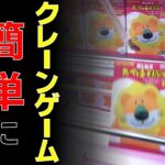 【副業】どんな景品でも簡単に取る方法がヤバすぎたｗｗｗｗクレゲの極意教えちゃいます【クレーンゲーム】