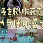 クレーンゲーム沼　たまにお菓子取りに来てもやっぱり沼る！　2024年5月