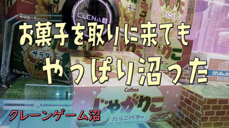 クレーンゲーム沼　たまにお菓子取りに来てもやっぱり沼る！　2024年5月