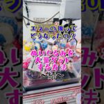 ぬいぐるみ大量GETの極意〜続〜 #クレーンゲーム #shorts #short #shortvideo #japaneseclawmachine #ufoキャッチャー #ゲームセンター #クレゲ