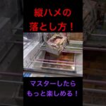 クレーンゲーム 縦ハメの落とし方 基本 攻略 ずり上げ オンクレ クレゲ 衝撃 スパイファミリー アーニャ