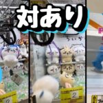 【ちいかわクレーンゲーム】待ちわびたぞ！！泣いちゃったぬいぐるみよ、、、このサイズ感久しぶりに登場してくれたので、さっそく推しを取ってきた！！