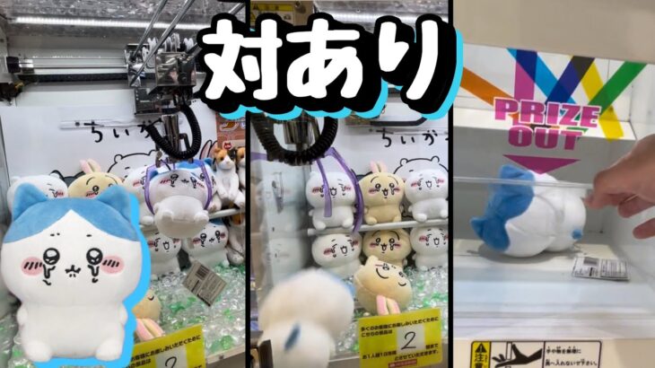 【ちいかわクレーンゲーム】待ちわびたぞ！！泣いちゃったぬいぐるみよ、、、このサイズ感久しぶりに登場してくれたので、さっそく推しを取ってきた！！