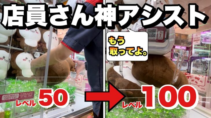 【ちいかわクレーンゲーム】やばいwwwアシストをミスしたら、レベル100の神アシストに切り替えられたwwwちいかわカブトムシBIGぬいぐるみ初日プレイ♪♪