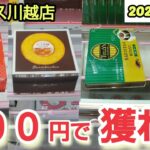 【月刊ベネクス川越店】クレーンゲーム日本一獲れるお店の景品でハイエナしないで200円で取るコツを紹介 #2024年6月