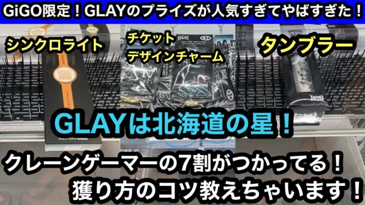 GLAYは北海道の星！GiGO限定プライズコンプ！午前中に完売した激レアプライズはコレだ！【クレーンゲーム】【JapaneseClawMachine】【인형뽑기】【日本夾娃娃】