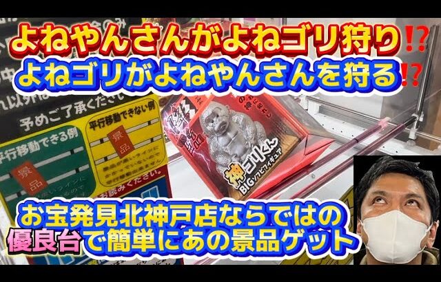 【クレーンゲーム】お宝発見北神戸店でゴリラのバトル勃発！？北神戸店の優良ブースで簡単にあの景品をゲット出来る！(UFOキャッチャー よねやんさん ゴリラ)