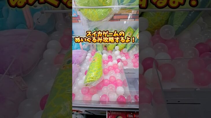 スイカゲームのぬいぐるみ攻略してみた！【 クレーンゲーム  ufoキャッチャー 】#クレーンゲーム #ufoキャッチャー