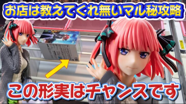 【クレーンゲーム】 絶対に覚えて欲しい明日から使えるテクニック！！ 橋渡し取り比べ 五等分の花嫁∽ちょこのせプレミアムフィギュア“中野二乃”