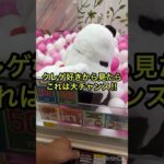 【クレーンゲーム】クレゲ好きくら見たら…これは大チャンス‼︎