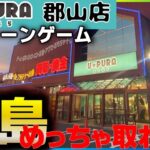 【クレーンゲーム】福島県で一番取れるゲームセンターで遊んでみた結果がヤバすぎたw【ゆうぷら郡山店】