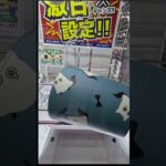 【クレーンゲーム】ラウンドワン 処分台の激甘設定。あなたならどこ狙う？ #375 #ナムコ #인형뽑기 #ラウンドワン #short #shorts #clawmachine #確率無視 #裏技