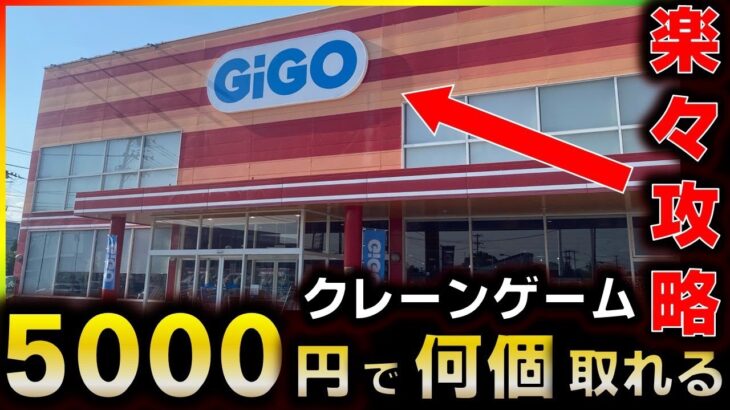 【GIGO】楽々攻略！5000円で何個取れる？【クレーンゲーム】