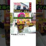 【クレーンゲーム】パワーMAX系が簡単に獲れるコツ