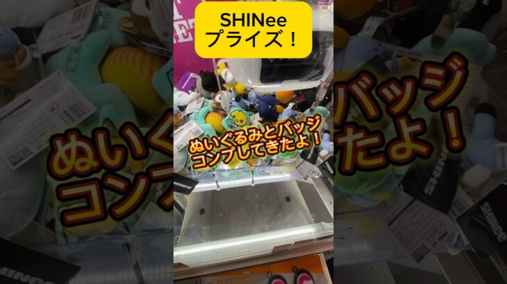 SHINeeのくっつきぬいぐるみとぬいぐるみバッジをコンプしてきた！#shorts #shinee #kpop #クレーンゲーム