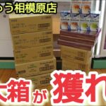 【おたちゅう相模原店】クレーンゲームで特大箱の景品の取り方を紹介