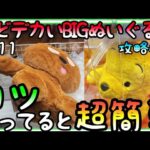 意外と知らない!?超どデカイぬいぐるみはコツを知ってると超簡単!!ROUND1ぬいぐるみ攻略4選