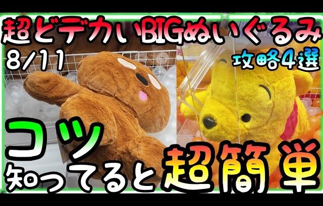 意外と知らない!?超どデカイぬいぐるみはコツを知ってると超簡単!!ROUND1ぬいぐるみ攻略4選