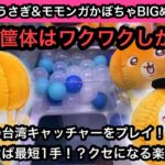 台湾キャッチャーinちいかわシリーズのぬいぐるみ！うさぎ&モモンガかぼちゃBIGぬいぐるみにチャレンジ！【クレーンゲーム】【인형뽑기】【日本夾娃娃】【JapaneseClawMachine】