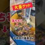 【クレーンゲーム】子供でも簡単操作で大量ゲット！！