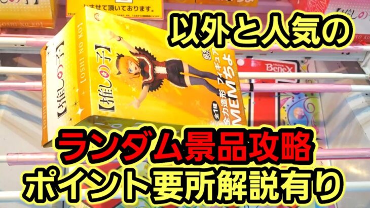 【趣味】必見。ランダム景品攻略、解説有り【クレーンゲーム】