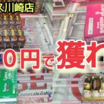 【ベネクス川崎店】クレーンゲーム日本一獲れるお店で300円で景品を取るコツを紹介