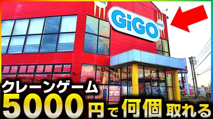 【クレーンゲーム】5000円で何個獲れる？またまたGIGOで遊んでみた！！