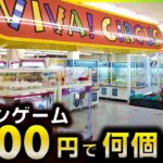 【クレーンゲーム】5000円で何個取れる？あまり知られていない名店に行ったら驚きの景品を見つけたwwww【5000円企画】