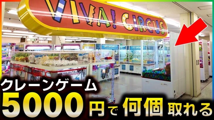 【クレーンゲーム】5000円で何個取れる？あまり知られていない名店に行ったら驚きの景品を見つけたwwww【5000円企画】